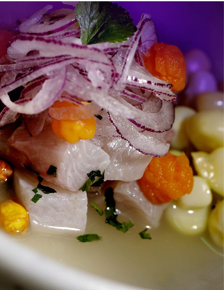 Ceviche Puro