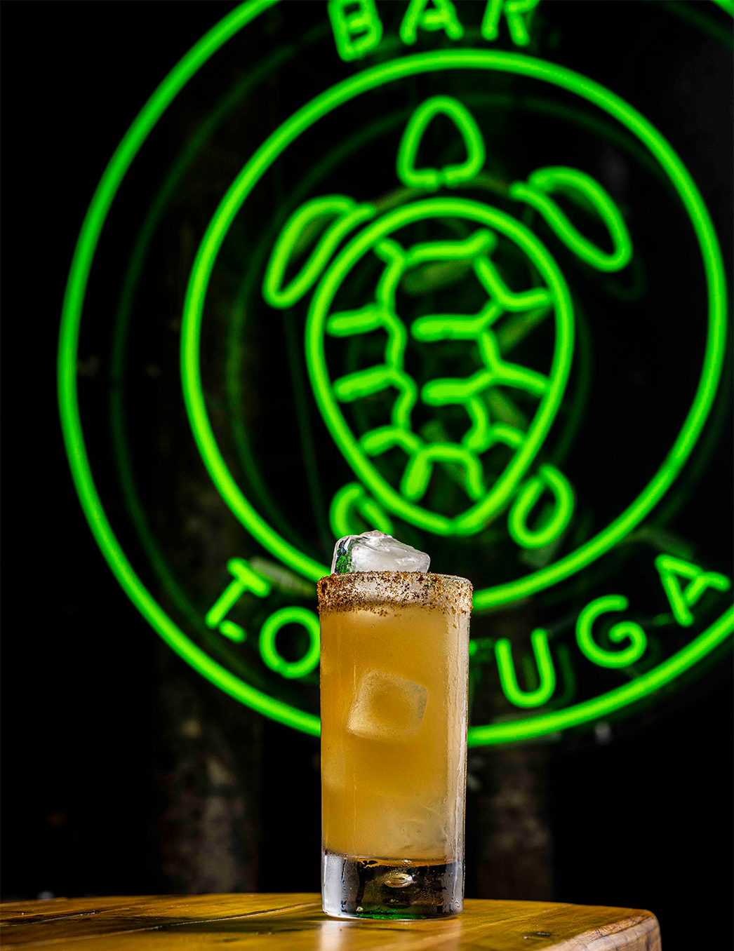 TORTUGA_1